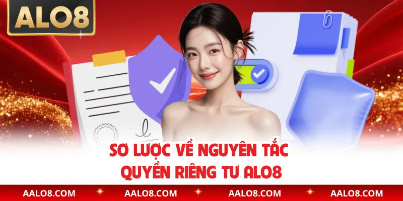 Sơ lược về nguyên tắc quyền riêng tư Alo8