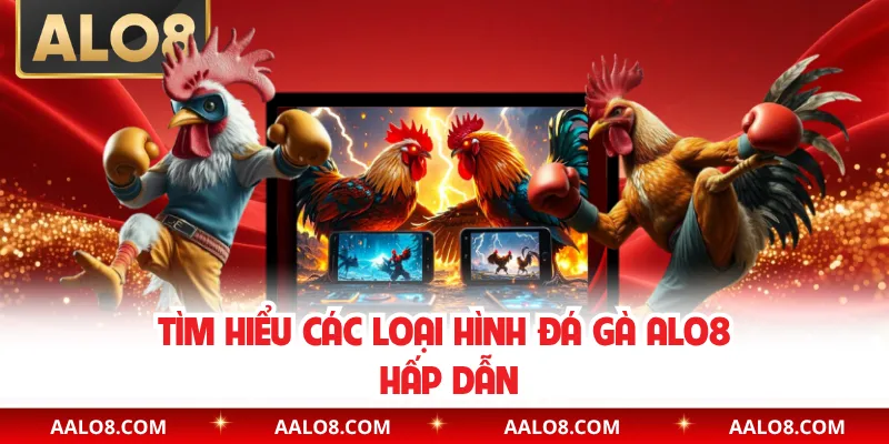 Tìm hiểu các loại hình đá gà Alo8 hấp dẫn